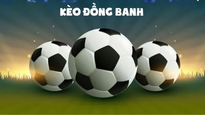 Sai lầm thường gặp và cách phòng tránh