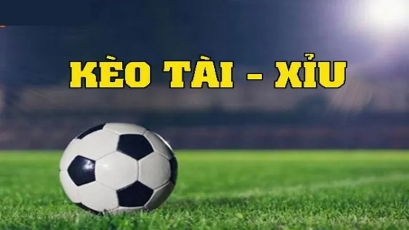 Kèo Tài Xỉu: Cách Đọc, Chiến Lược Và Sai Lầm Thường Gặp